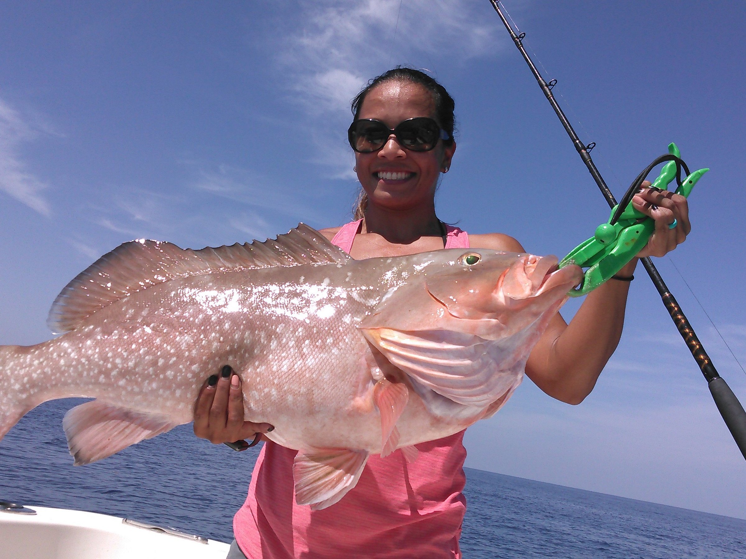 The Bait House Clearwater