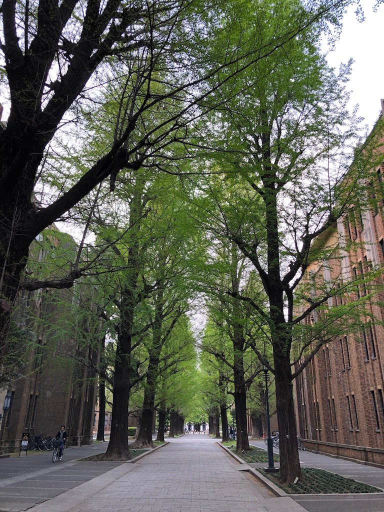 University Of Tokyo (Bunkyo) - All You Need To Know BEFORE You Go