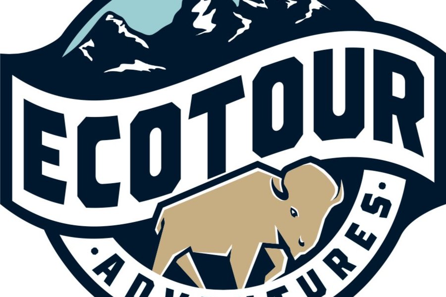 Jackson Hole Eco Tour Adventures image