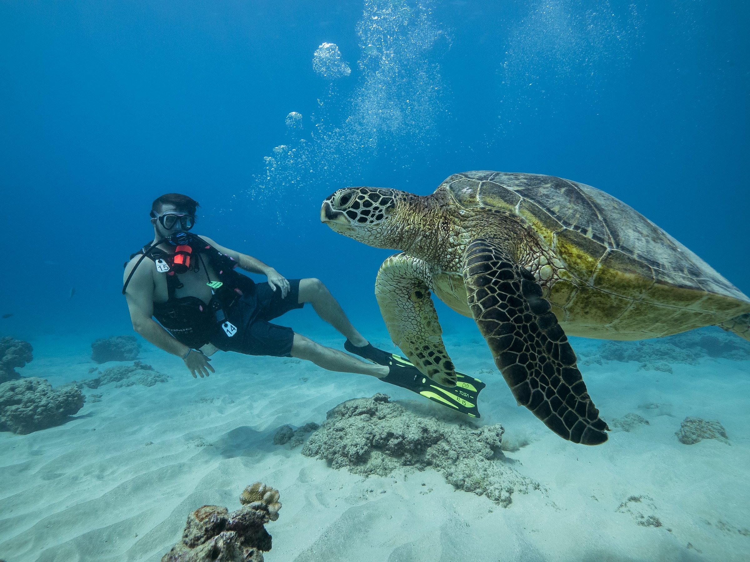 dive tours hawaii