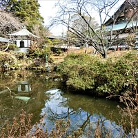 遊行寺 放生池~3