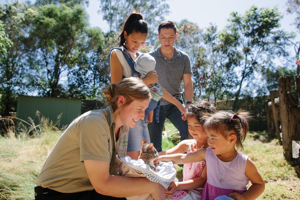 Featherdale Sydney Wildlife Park - All You Need to Know BEFORE You Go ...