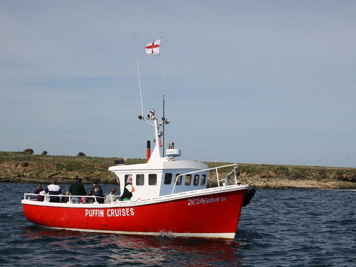 puffin island cruises amble