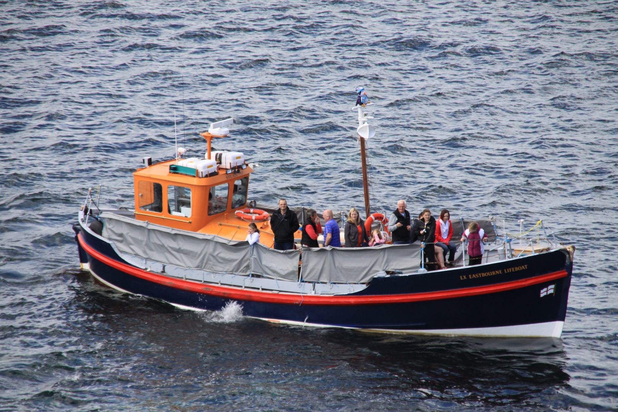 puffin island cruises amble