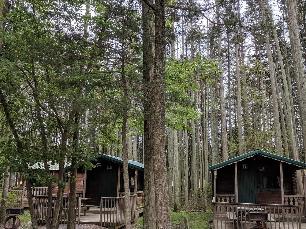Camp pinewood code