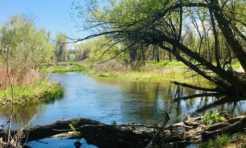 Peaceful creek 