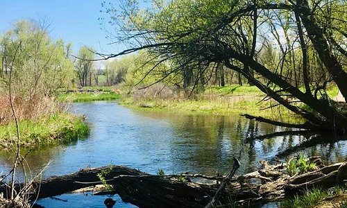 Peaceful creek 
