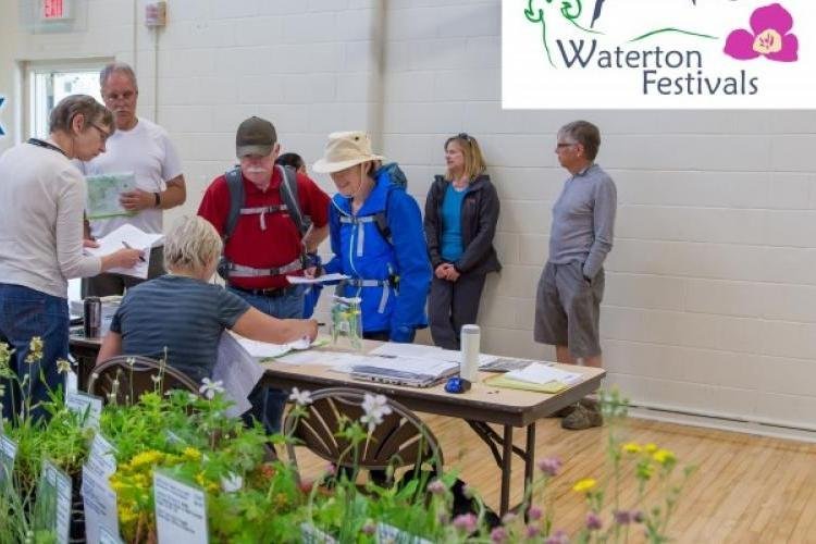 2024年 Waterton Wildflower Festival 出発前に知っておくべきことすべて トリップアドバイザー