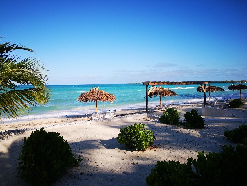 Cocodimama Charming Resort Updated 2020 Prices Hotel Reviews Eleuthera Bahamas Tripadvisor