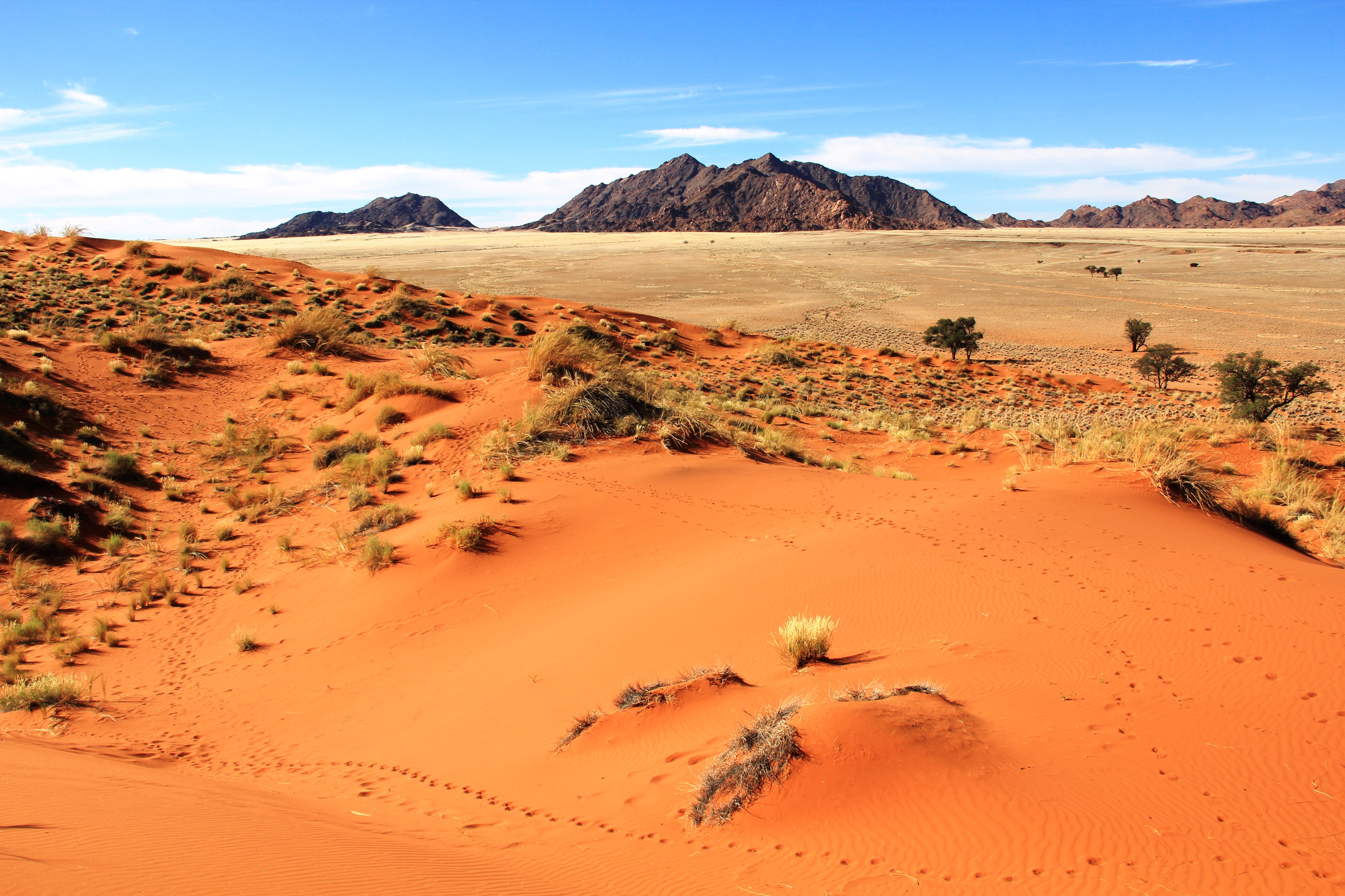 Sossusvlei Namib Naukluft Park All You Need To Know BEFORE You Go   Sossusvlei 