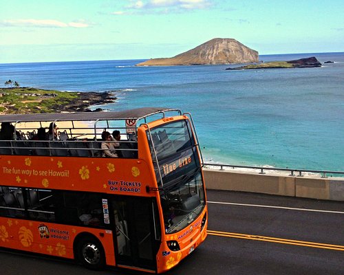 Chuyến tham quan và khám phá Hawaii sẽ thật tuyệt vời hơn cùng với những bức hình tuyệt đẹp về xe buýt tại Honolulu. Hãy cùng ngắm nhìn những dòng xe hiện đại, tinh tế đưa khách đến những địa điểm du lịch nổi tiếng của Hawaii. Những hình ảnh sống động này sẽ giúp bạn tưởng tượng và dễ dàng hình dung những ngày hè tuyệt vời trên đảo Hawaii.