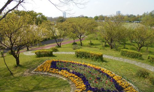 展望台からの眺め
