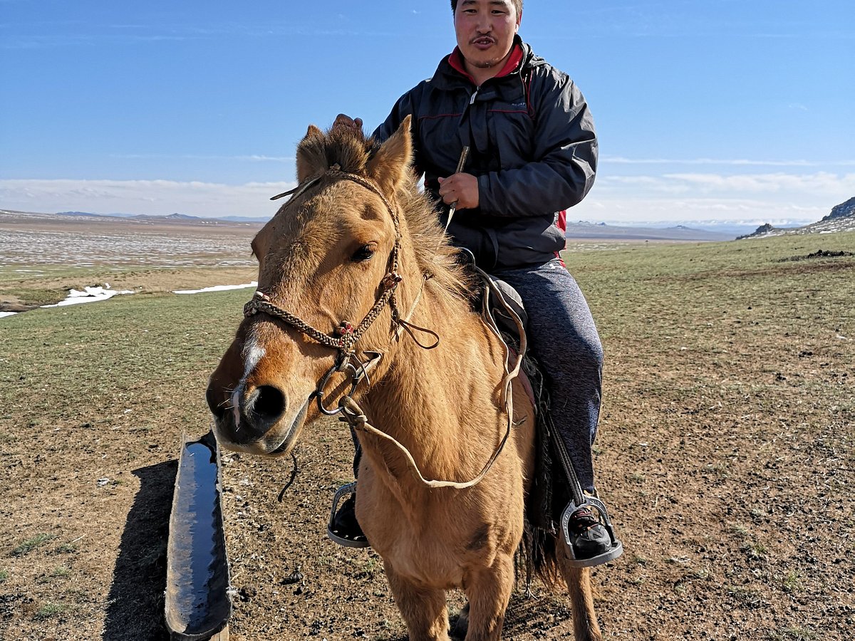 travel to mongolia 2022