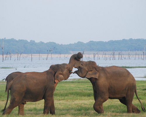 nature tourism in sri lanka