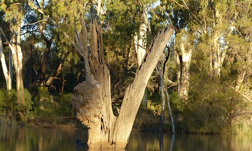The Ballone river St George