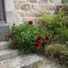 fanette07258