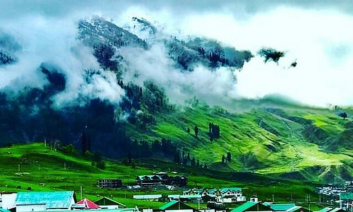 Meadow of gold.💚🏔 sonamarg💚🏔welcome and enjoy with us