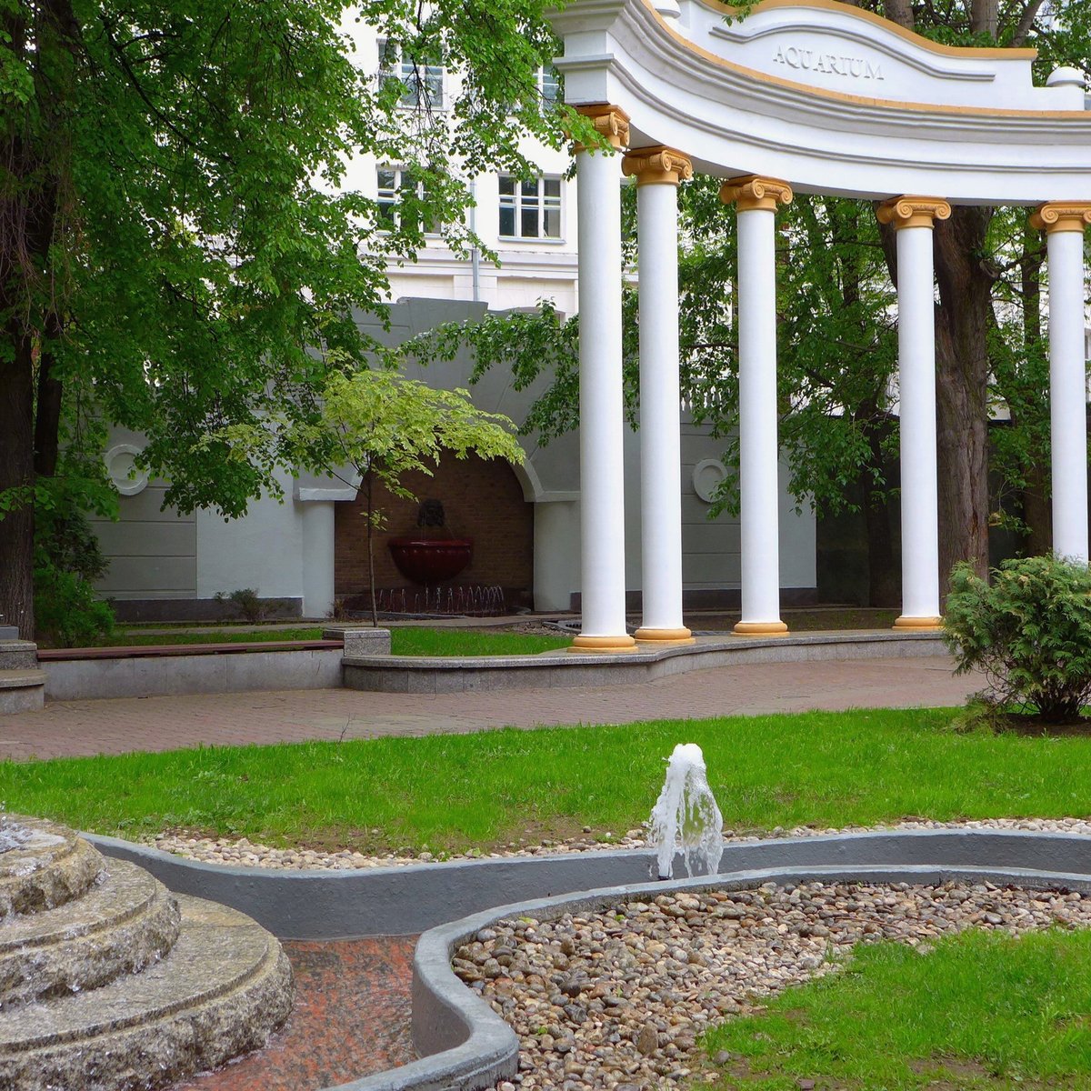 Gardens moscow. Сад аквариум в Москве. Сад аквариум в Москве на Маяковской. Ботанический сад аквариум. Сад аквариум Москва зимой.