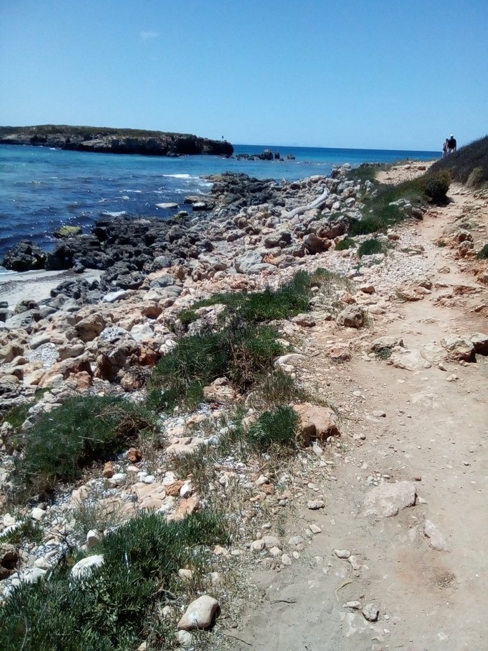 Imagen 10 de Playa San Adeodato