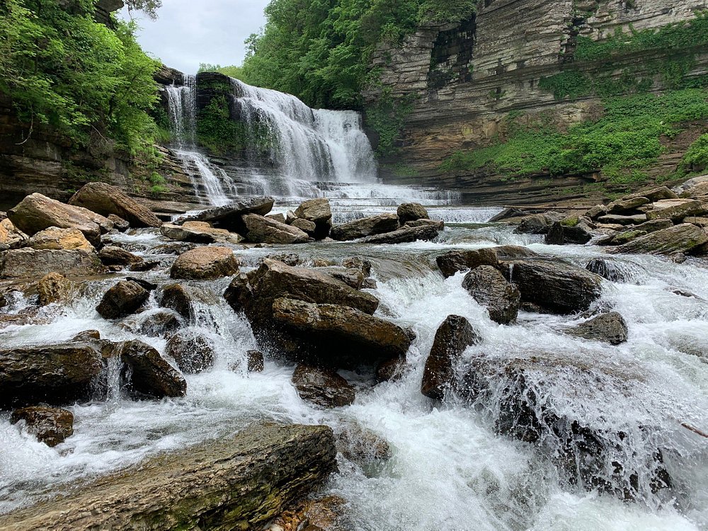 The 15 Best Things To Do In Cookeville 2024 With Photos Tripadvisor 2218