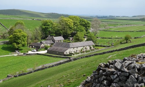View of Wheeldon Tree Farm