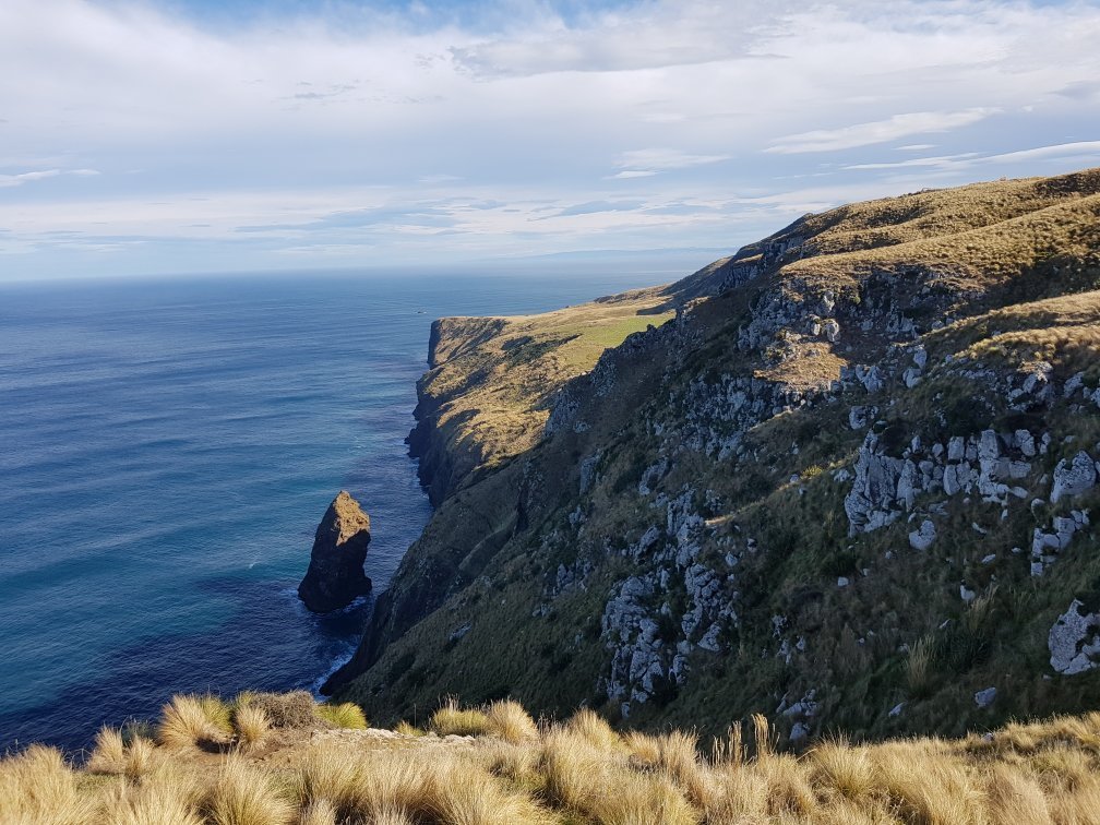 Otago Peninsula новая Зеландия