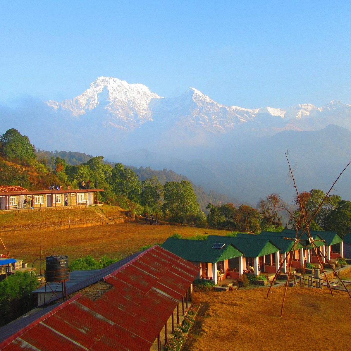 Nepaltrekstour.com (Kathmandu) - All You Need to Know BEFORE You Go