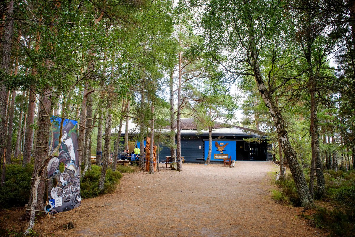 RSPB LOCH GARTEN: All You Need to Know BEFORE You Go (with Photos)