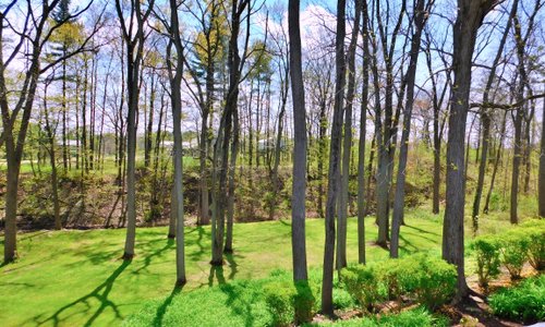 Woodlawn View