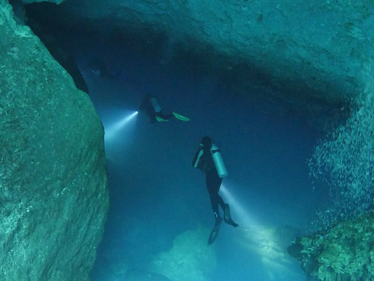 green divers tulum