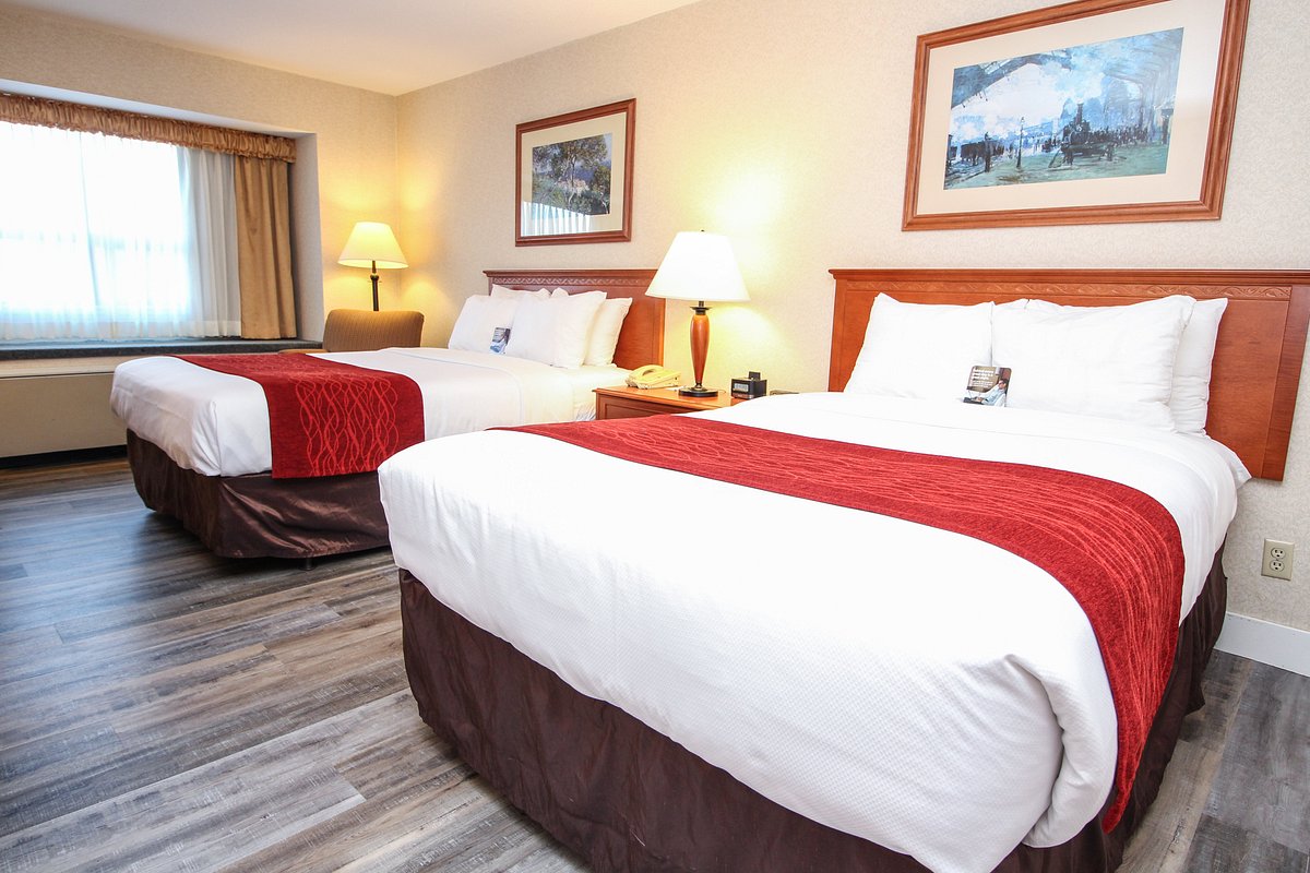 Comfort Inn &amp; Suites, hotel en Victoria