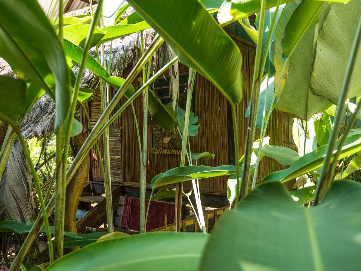 OCEAN FOREST ECOLODGE RETREAT CENTRE, COSTA RICA/DRAKE BAY: 250