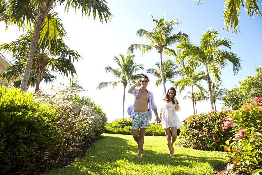 H horticulture bonita springs fl