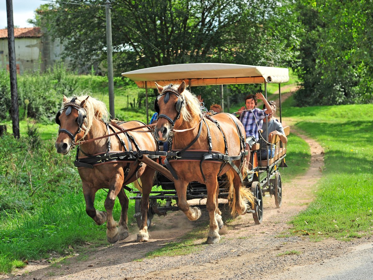 La Ferme Du PrÉ Fleuri (sermentizon) - All You Need To Know Before You Go