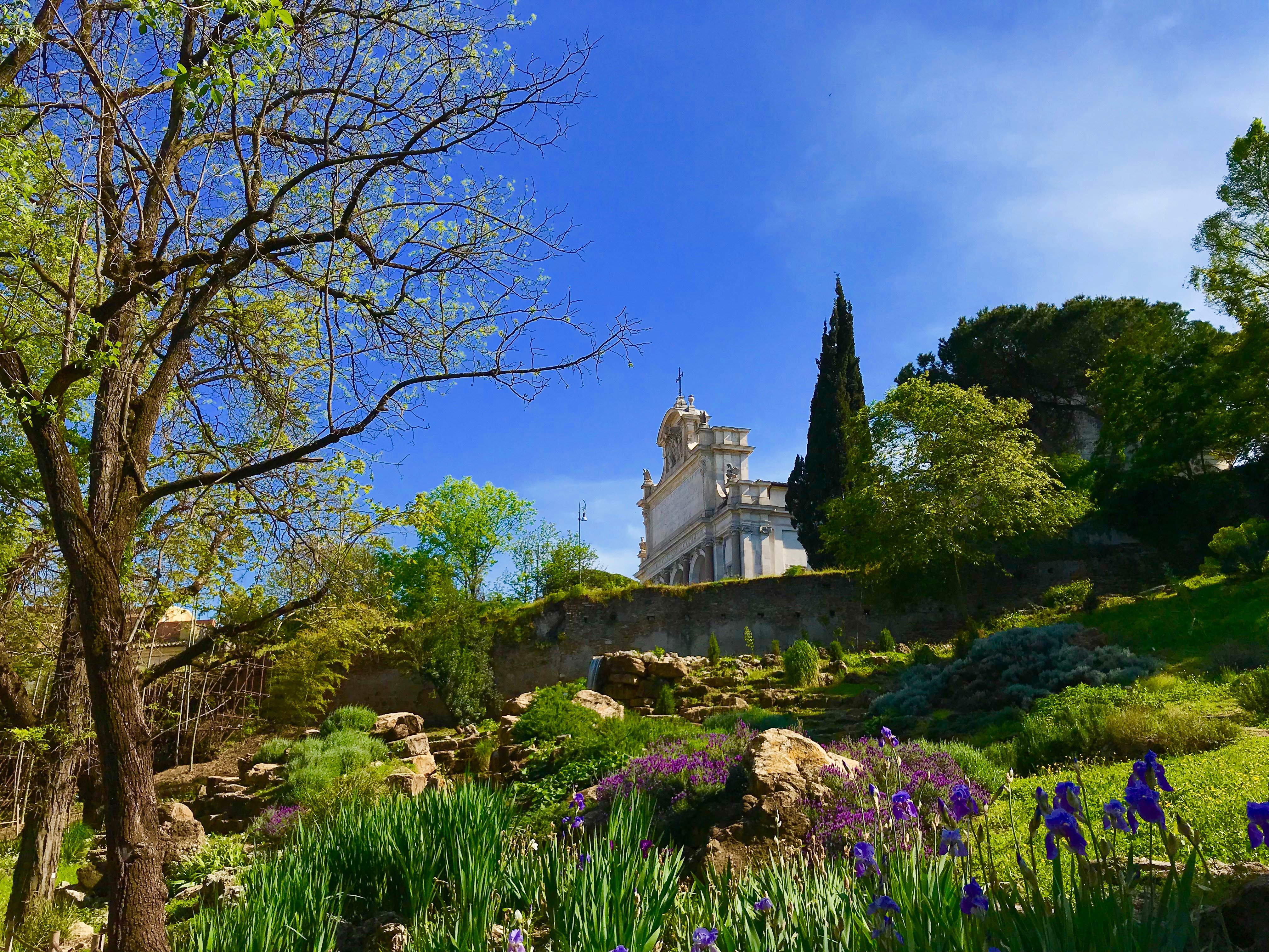 Orto Botanico Di Roma (Italia) - Review - Tripadvisor