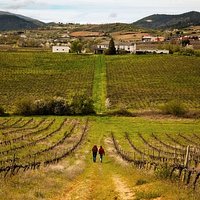 getlstd_property_photo