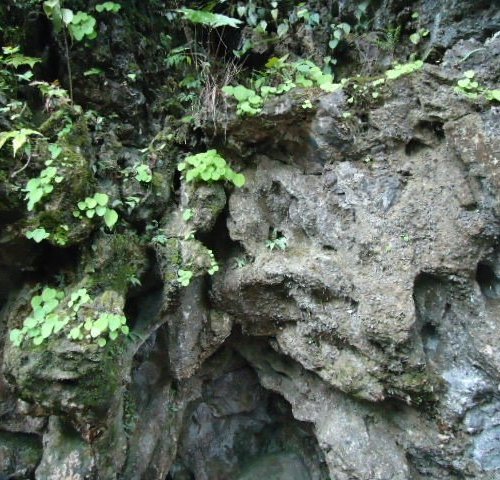 Caves of Meghalaya - Secret World Underneath The Ground