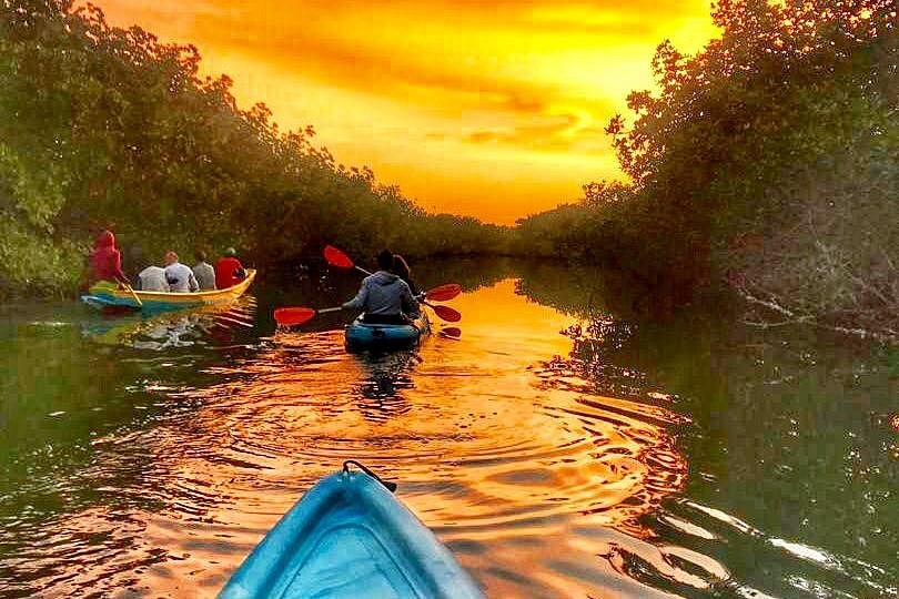 Gambia Kayaking image