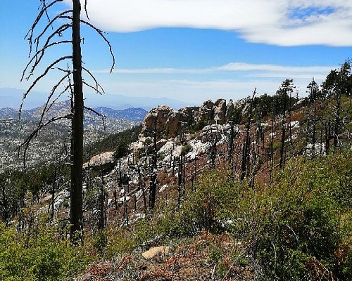 The Best Mount Lemmon Hiking Trails Updated 2023 Tripadvisor 2978