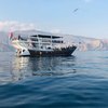 Musandam_Cruise