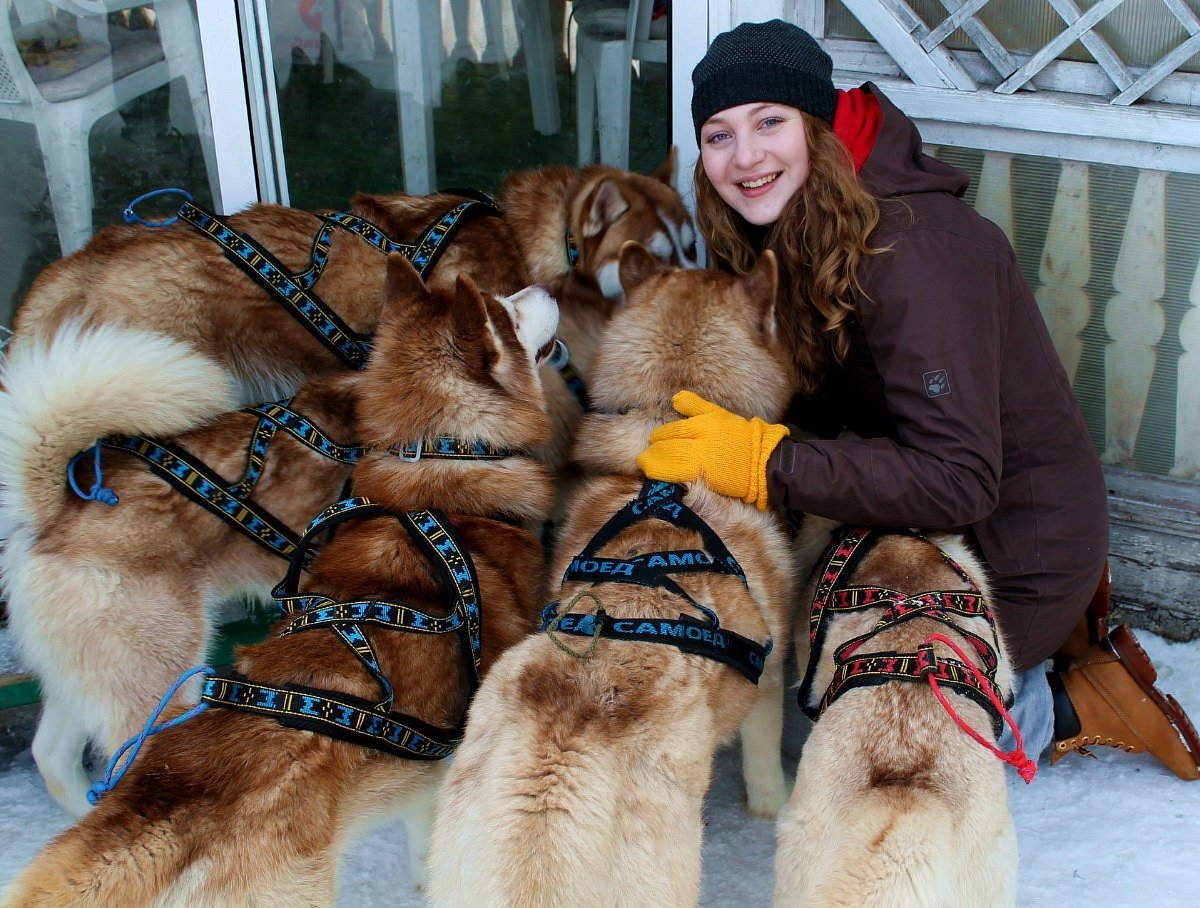 Питомник сибирских хаски Husky Evolution, Прилуки: лучшие советы перед  посещением - Tripadvisor