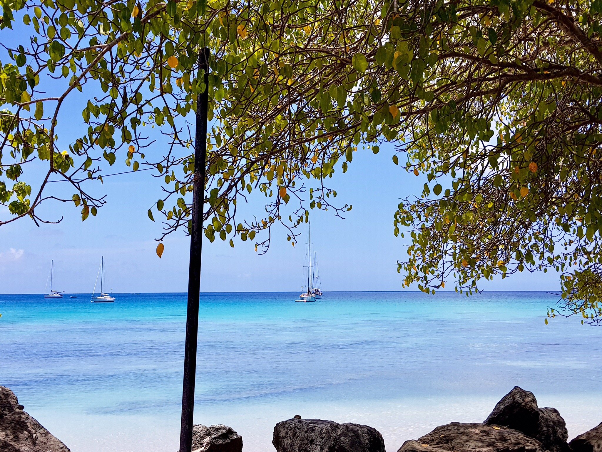 Pigeon Point Beach, Тобаго: лучшие советы перед посещением - Tripadvisor