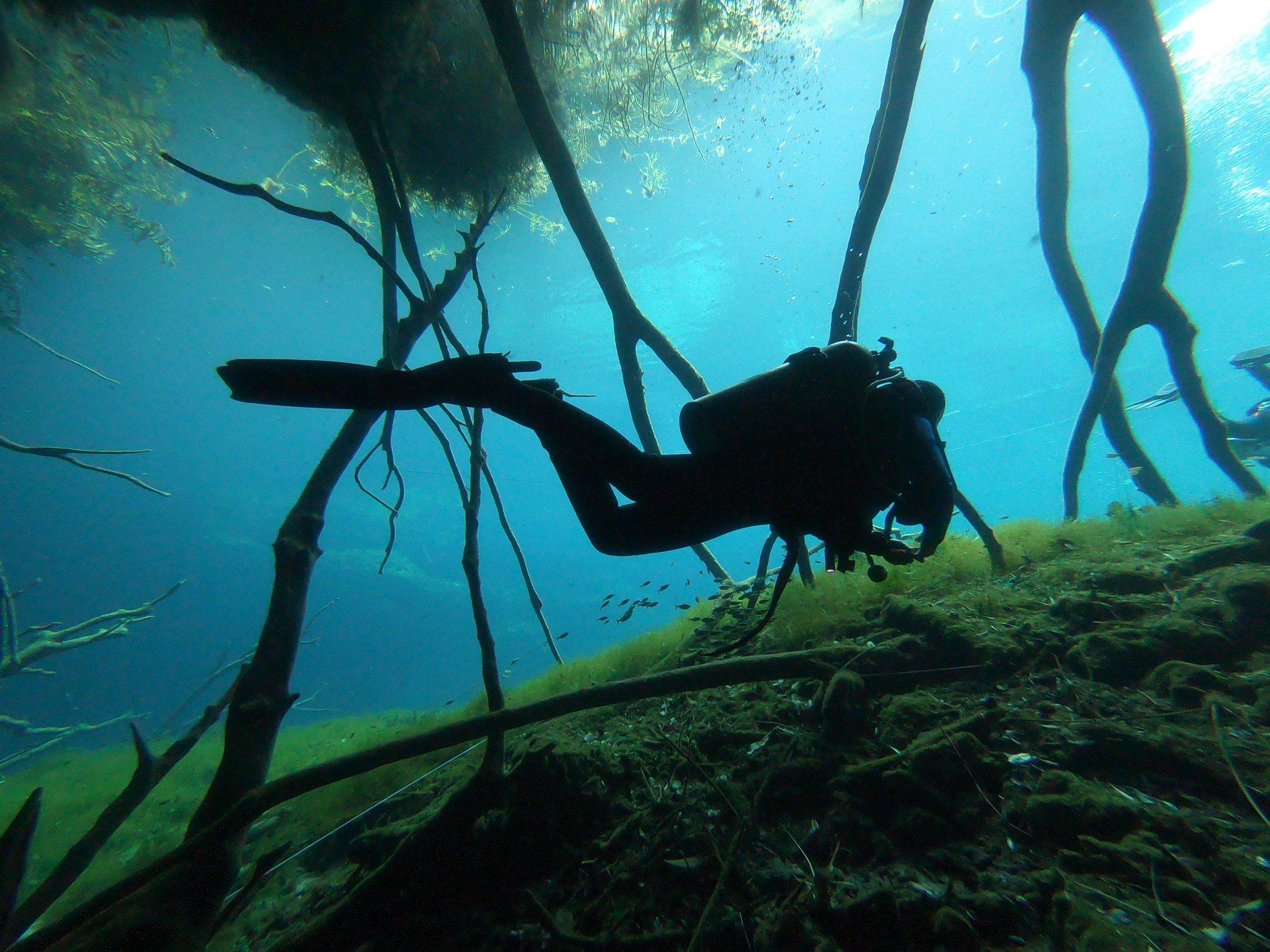 xibalba dive center tulum