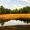 Top 6 Budget-friendly Things to do in Bandhavgarh National Park, Madhya Pradesh