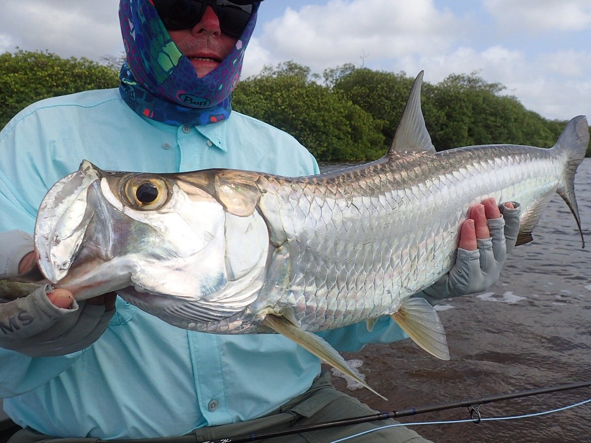 The Taylor Boys Fishing for Bones - Picture of The Western Caribbean Fly  Fishing School, Mahahual - Tripadvisor