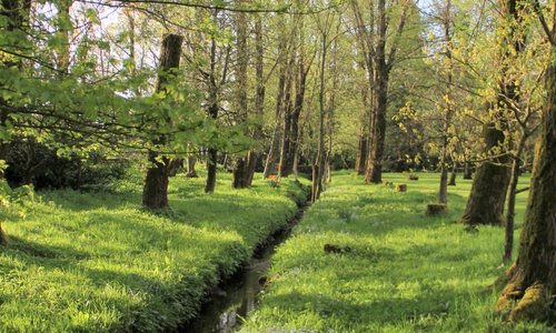 Small stream across the property at Orton Hall