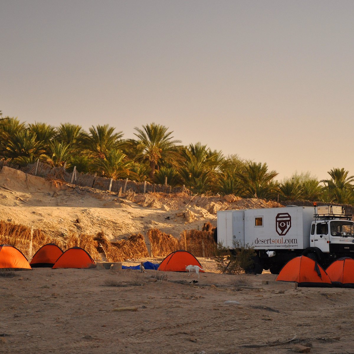 Soul desert. Дуз фото. Дуз.