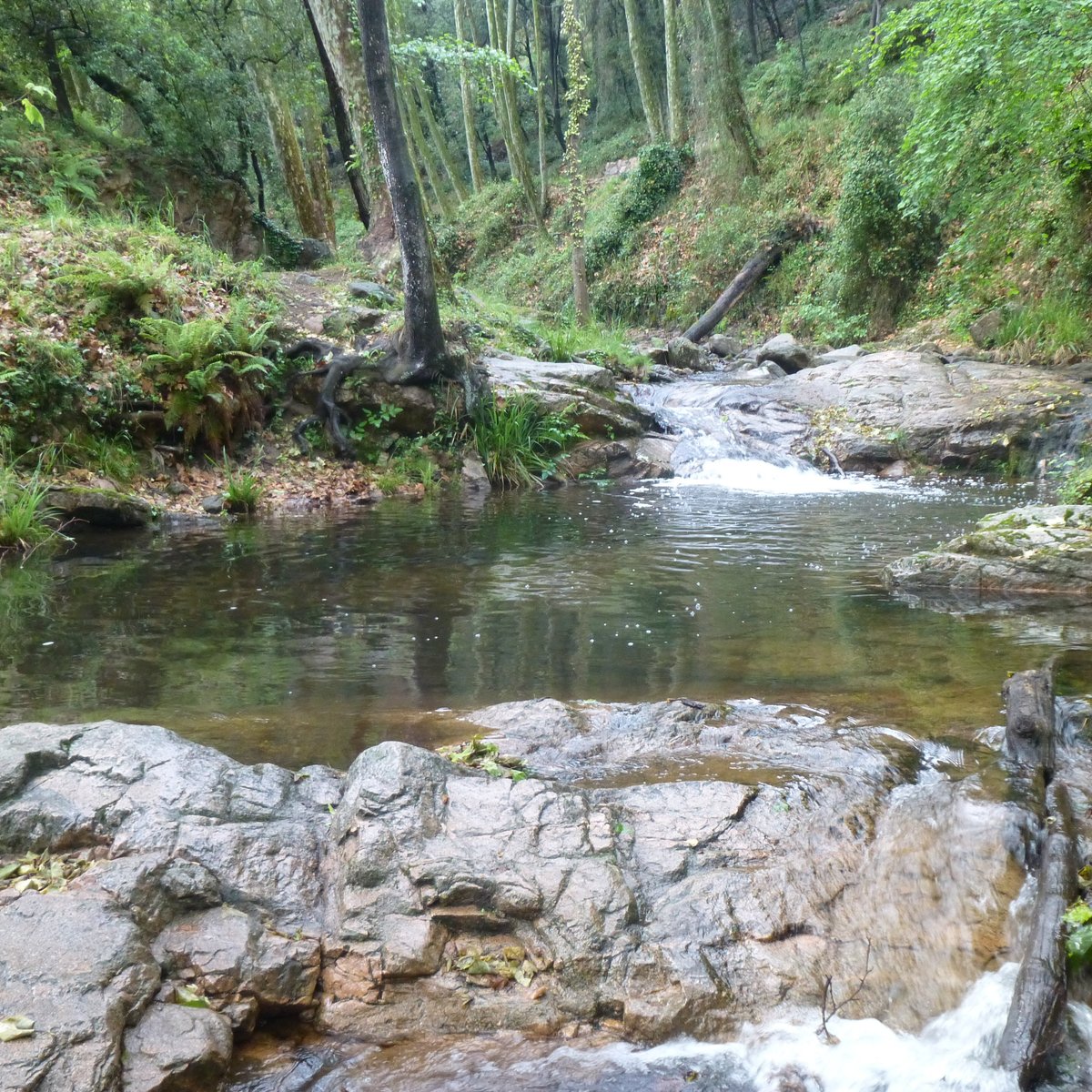 Parque Mediombiental de Gualba - All You Need to Know BEFORE You Go (2024)