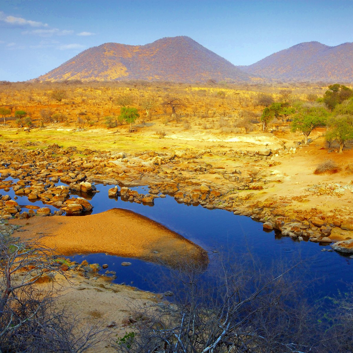 ruaha-national-park-iringa-atualizado-2022-o-que-saber-antes-de-ir