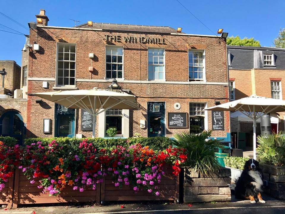 The Windmill Tripadvisor